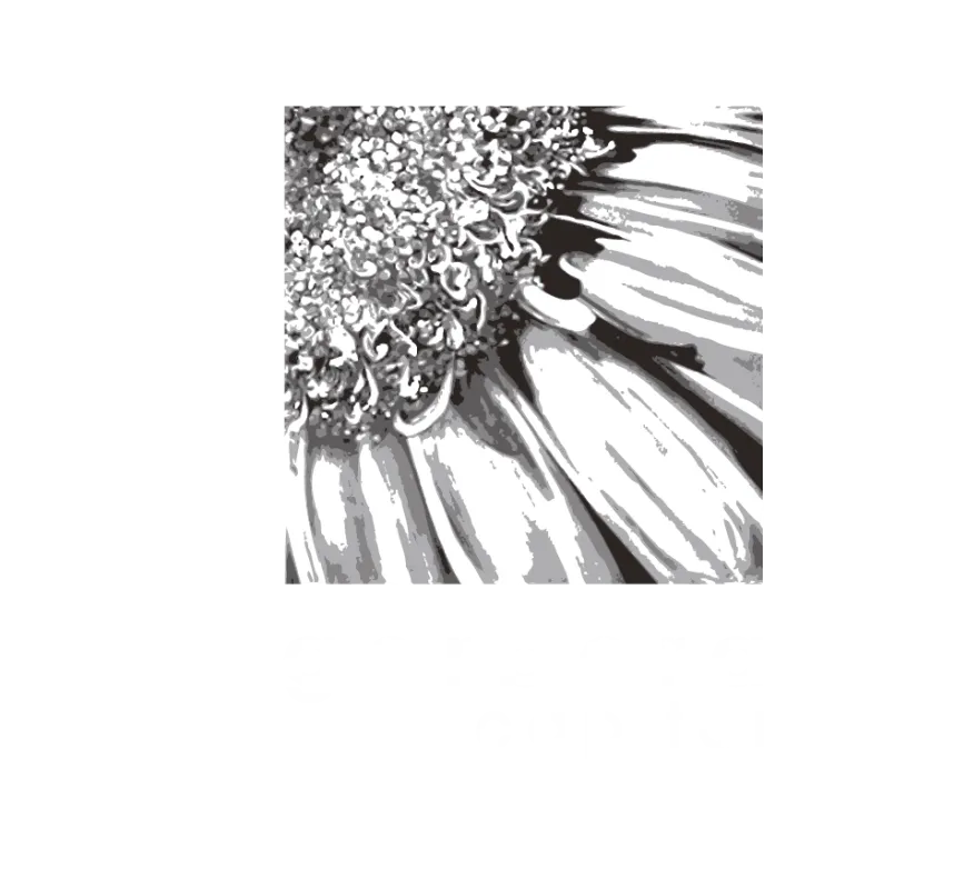 Gerbera Capital